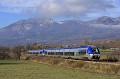 UM B81606